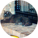 Albert Loeza profile picture