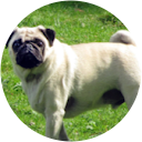 Clarkie isthe1 profile picture