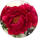 Rosa Morales profile picture