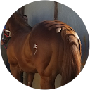Santiago Cano profile picture
