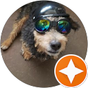 Ron Watkins profile picture